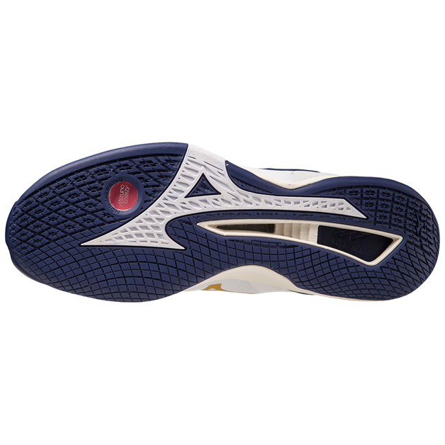 Str. 42-44,5 Mizuno Floorball sko - Mizuno Wave Stealth NEO - Hvid/blå/guld