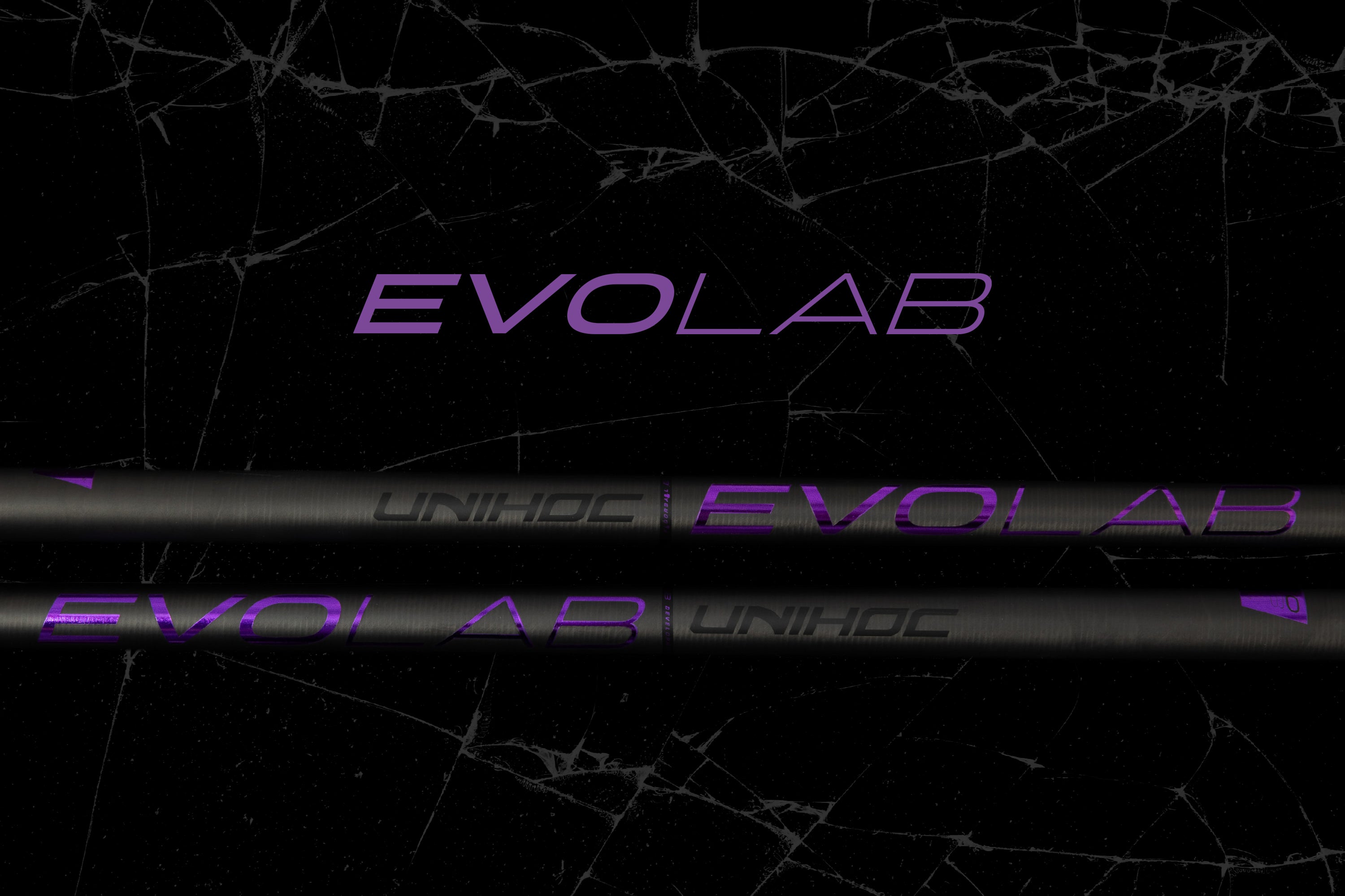 files/EVOLAB.jpg